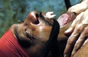 Ken Foree as Stanis in 'Brotherhood of Blood'