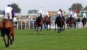 The start of Quixall Crossett's 100th race, and he is already in last place