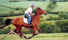 Geoff Sanderson riding Quixall Crossett