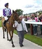 Quixall Crossett in the parade ring at Southwell racecourse before his 100th race