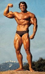 Arnold Schwarzenegger champion bodybuilder