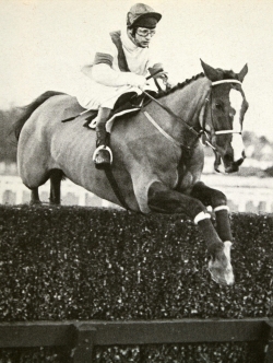 Bob Champion & Aldaniti winning the Whitbread Trial Handicap Chase at Ascot (11th February 1981)