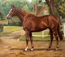 Oil painting of Aldaniti by E Richardson