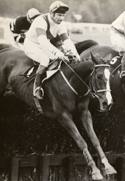 Bob Champion & Aldaniti winning the Stoke Handicap Chase at Haydock (5th May 1979)