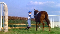 Scene from 'Champions' showing jockey Richard Rowe dismounting Aldaniti after the horse  becomes lame during a race at Sandown