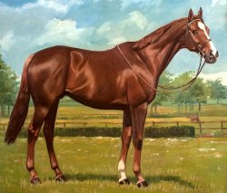 Oil painting of Aldaniti