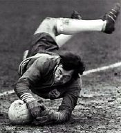 Gordon Banks in action for England
