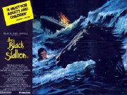 Film Poster for 'The Black Stallion'