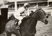 Bob Champion on the Josh Gifford trained Kybo at Ascot in 1980