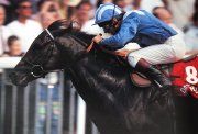 Willie Carson on Dayjur winning the Nunthorpe Stakes at York in 1990