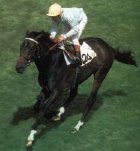 Willie Carson on Troy