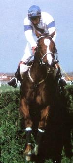 Bob Champion and Aldaniti clear the last fence in the 1981 Grand National