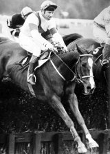 Bob Hampion and Aldaniti win at Haydock in May 1979. Two months later, Bob learned he had cancer