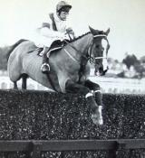 Bob Champion and Aldaniti win at Ascot in February 1981