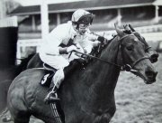 Bob Champion winning on Josh Gifford's horse 'Kybo' at Ascot in 1980