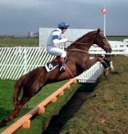 Aldaniti, ridden by John Burke (screenshot from 'Champions')