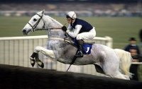 Richard Dunwoody riding Desert Orchid