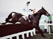 Richard Dunwoody's first National Hunt win on Game Trust at Cheltenham in 1983