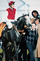 Richard Dunwoody on Champion Hurdle winner Kribensis at Cheltenham in 1990