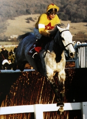 Richard Dunwoody on One Man at Cheltenham in 1997