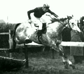 Josh Gifford in action on Sire De La Dor