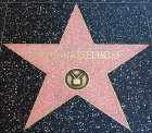 David Hasselhoff's 'Walk of Fame' star at 7018 Hollywood Boulevard