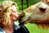 Kate Humble with one of the camels at Longleat