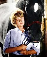 Mark Lester as Joe Evans in 'Black Beauty'