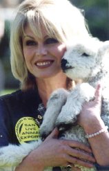 Joanna Lumley is a passionate campaigner for animal rights