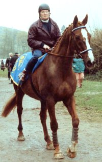 Aldaniti with his groom, Beryl Millam