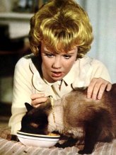 Hayley Mills as Patti Randall in 'That Darn Cat!' (1965)