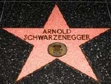 Arnold Schwarzenegger's star on the 'Hollywood Walk of Fame'