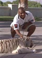 Mike Tyson with one of his white tigers