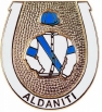 Aldaniti pin badge