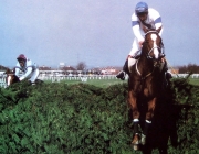 Aldaniti jumps the final fence in the Grand National, ahead of Royal Mail