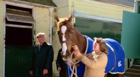 Scene from Champions where Beryl Millam brings the fully-recovered Aldaniti back to the stables to start training
