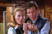 William Shatner & Tiffany Bolling in 'Kingdom of the Spiders'